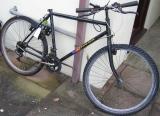 Rusty old bike emerges from the shed