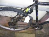 Rusty old bike emerges from the shed